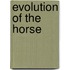 Evolution of the Horse