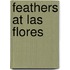 Feathers at Las Flores