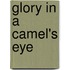 Glory In A Camel's Eye