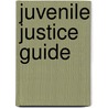 Juvenile Justice Guide door Ph.D. Thibault Edward A.