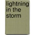 Lightning In The Storm