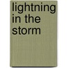 Lightning In The Storm door Thomas Taylor
