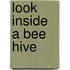 Look Inside a Bee Hive