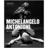 Michelangelo Antonioni door Seymour Chatman