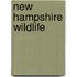 New Hampshire Wildlife