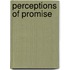 Perceptions Of Promise