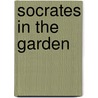 Socrates In The Garden door Enda Wyley