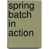 Spring Batch In Action