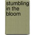 Stumbling in the Bloom