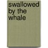 Swallowed By The Whale