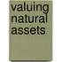 Valuing Natural Assets