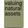 Valuing Natural Assets door Vincent Kerry Smith