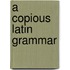 A Copious Latin Grammar