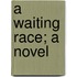 A Waiting Race; A Novel