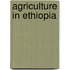 Agriculture In Ethiopia