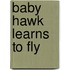 Baby Hawk Learns to Fly