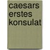Caesars Erstes Konsulat