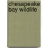 Chesapeake Bay Wildlife
