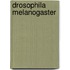 Drosophila Melanogaster
