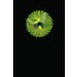 Green Hornet Chronicles