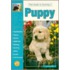 Guide To Owning A Puppy