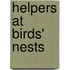 Helpers At Birds' Nests
