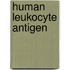 Human Leukocyte Antigen