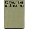 Kommunales Cash Pooling door Johannes Wagner