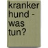 Kranker Hund - was tun?