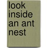 Look Inside an Ant Nest door Megan Cooley Peterson