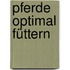 Pferde Optimal Füttern
