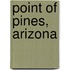 Point Of Pines, Arizona
