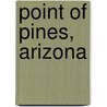 Point Of Pines, Arizona door Emil W. Haury