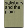 Salisbury And The Plain door Onbekend