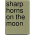 Sharp Horns on the Moon