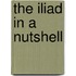 The Iliad In A Nutshell