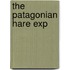 The Patagonian Hare Exp