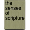 The Senses Of Scripture door Yael Avrahami