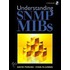 Understanding Snmp Mibs