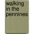 Walking In The Pennines