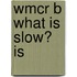Wmcr B What Is Slow? Is