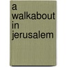 A Walkabout in Jerusalem door James William Stanfield