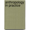 Anthropology In Practice by Riall W. Nolan