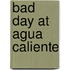 Bad Day at Agua Caliente