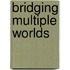 Bridging Multiple Worlds