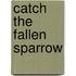 Catch the Fallen Sparrow
