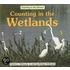 Counting in the Wetlands