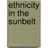 Ethnicity In The Sunbelt