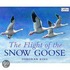 Flight Of The Snow Goose