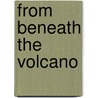 From Beneath The Volcano door Michael Gorkin